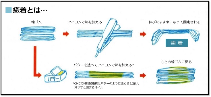 ガラス転移温度や癒着を意識してヘアアイロンを使う